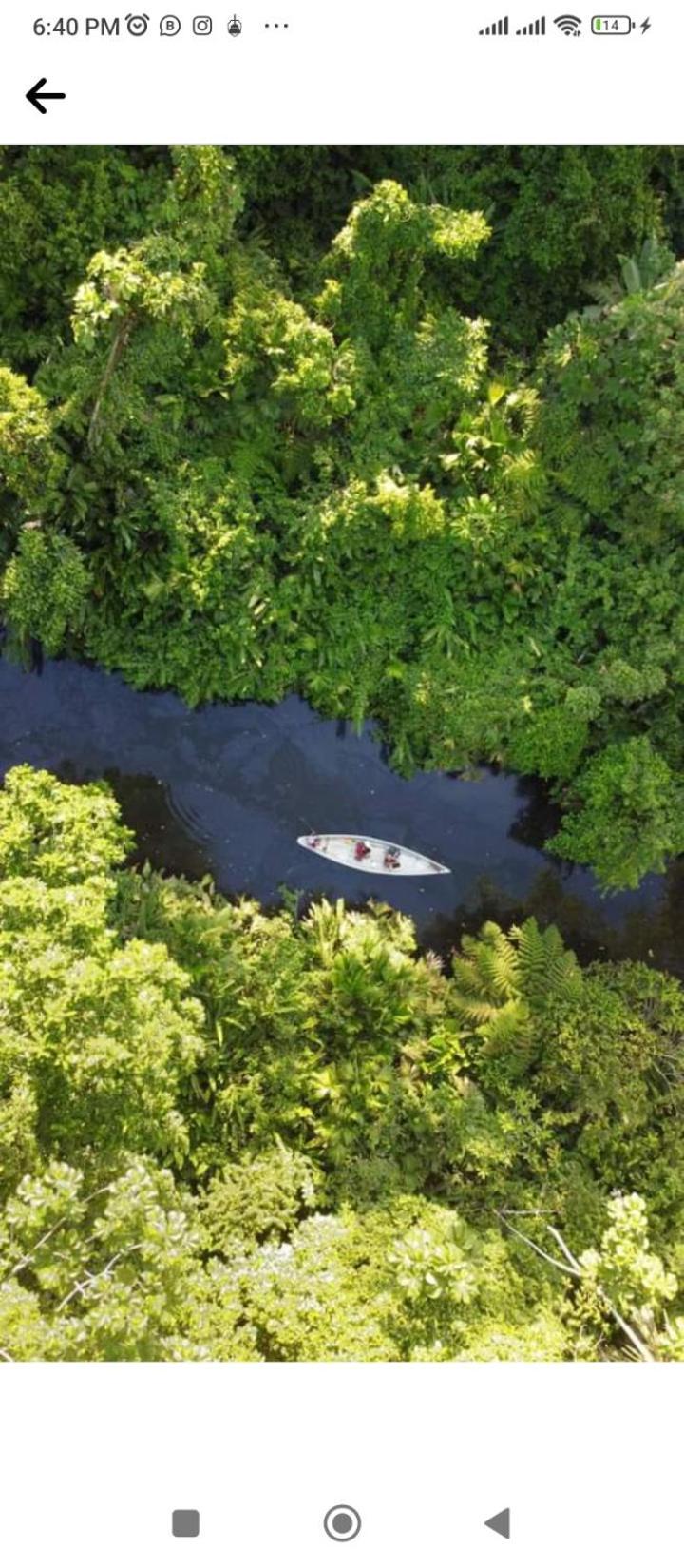 Misahualli Laguna Paikawe B&B Eksteriør billede